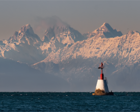 Alps Umag006