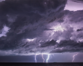 Isolated cell,Slovenia