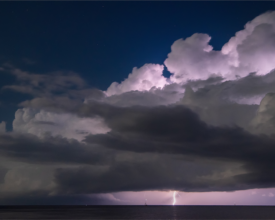 Moonlight cell
