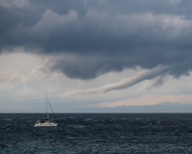 Into the storm