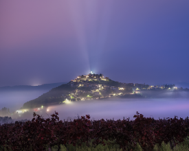 Fog embrace