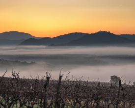 Motovun sunrise