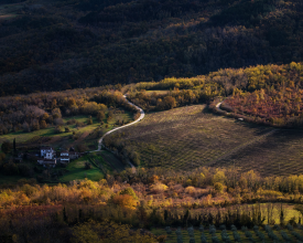 Heart of Motovun