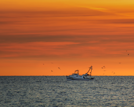 Fishing boat at sunset