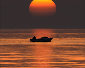 Fisherman
