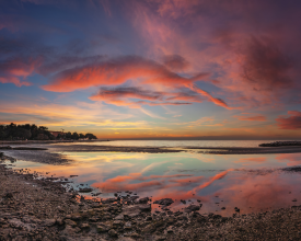 Sunset fish