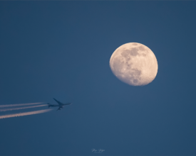 To the Moon