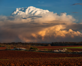 Tilted updraft near Pazin
